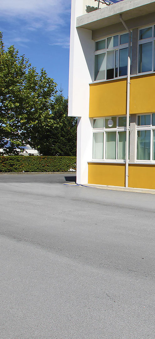 Coordenadores de Departamentos Curriculares