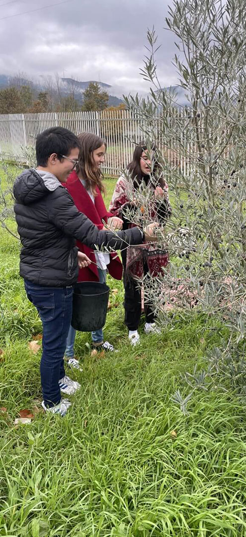 Clube do Ambiente - Projeto Escola Verde