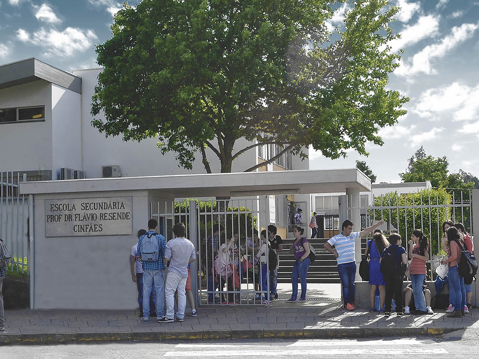 Procedimento concursal para a eleição do Diretor da Escola Secundária Professor Doutor Flávio F. Pinto Resende, Cinfães