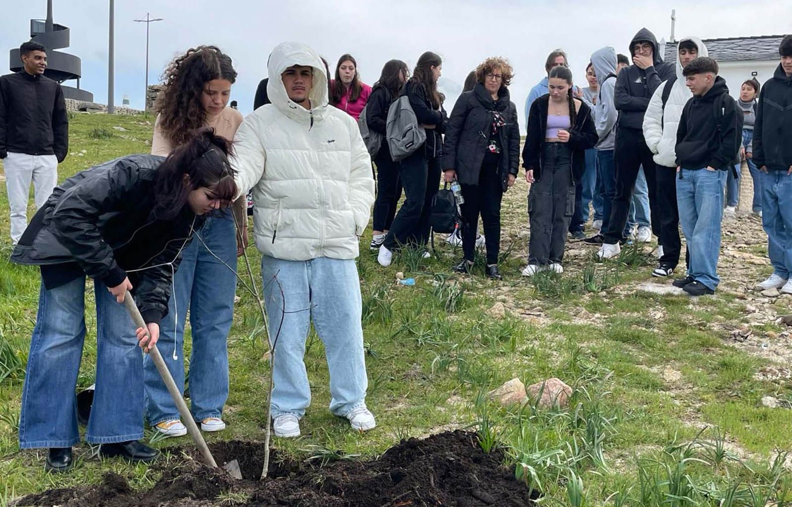 Árvores especiais